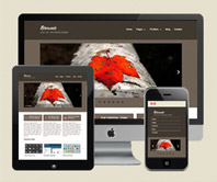 Creative communications